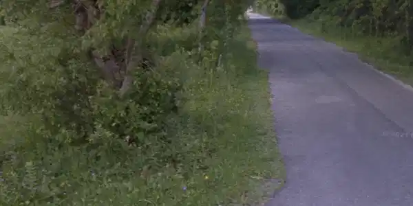 419 Josephine Street