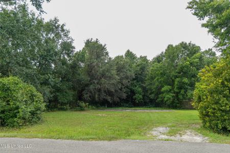 247 Reinike Road