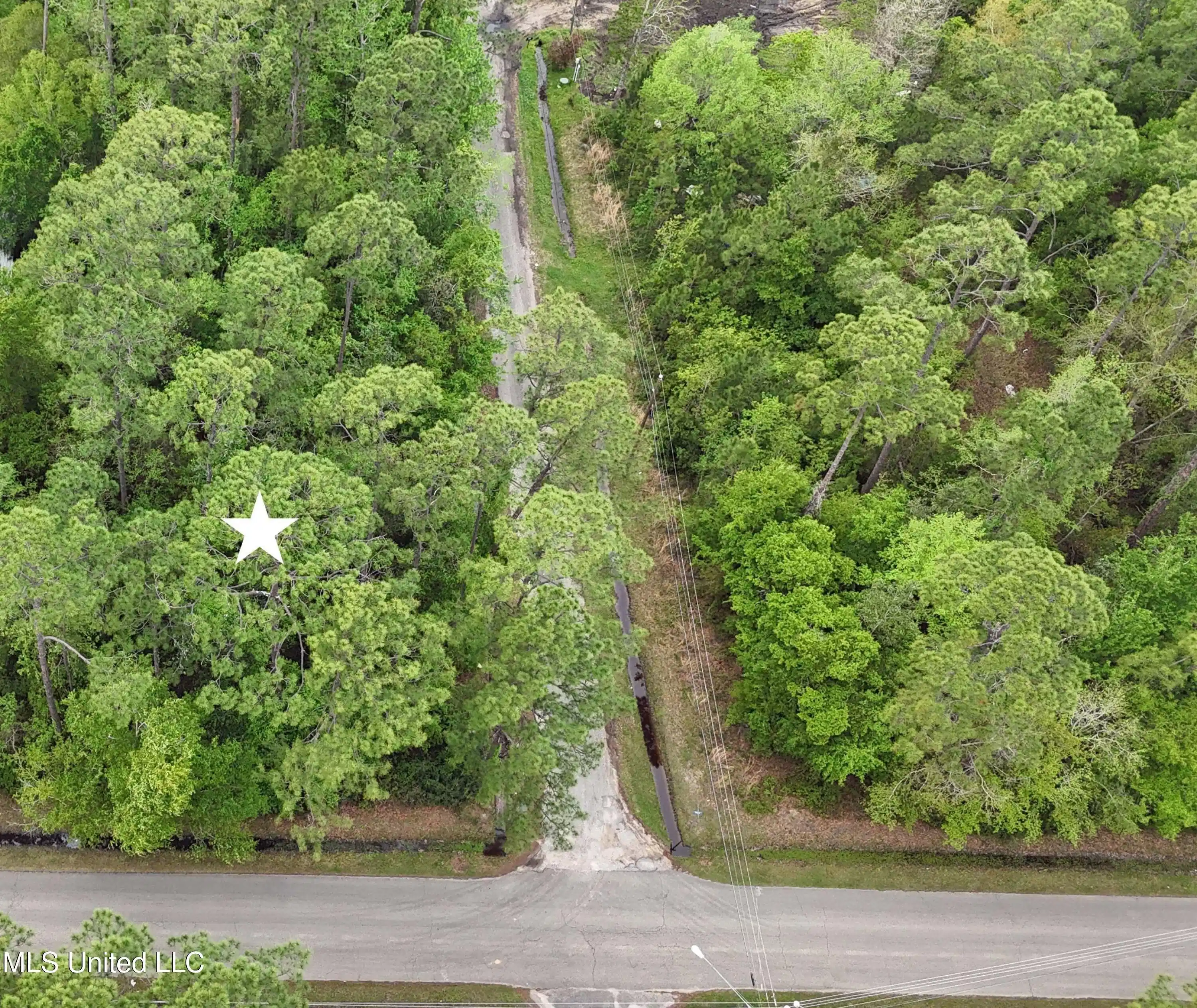 Image 1: 003 (1)