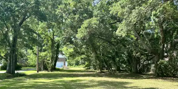 Image 2: Lot