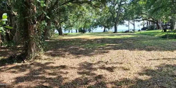 Image 3: Lot