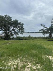 Savannah Estates Boulevard