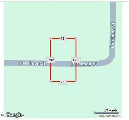 Image 1: Lot 2853