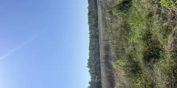 0000 Lower Bay Road