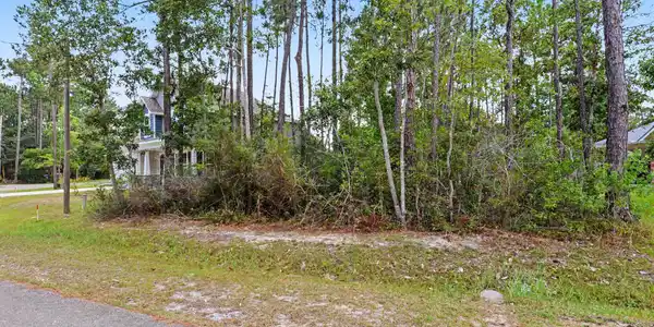 Image 4: 2nd Lot