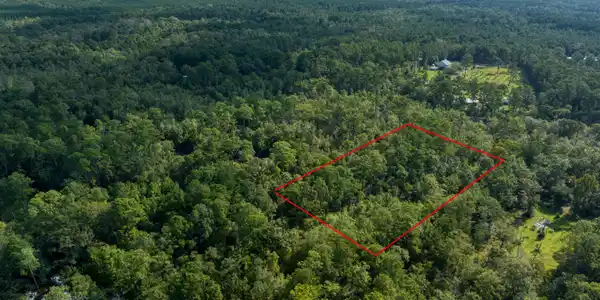 Image 2: pearlingtonlot-4