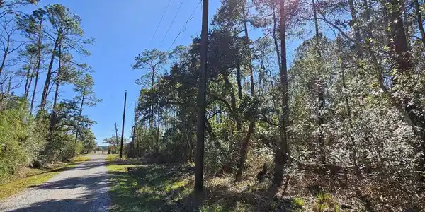 Image 2: street