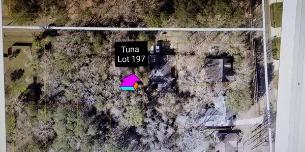 Image 3: Tuna Lot 197 ArcGis Map