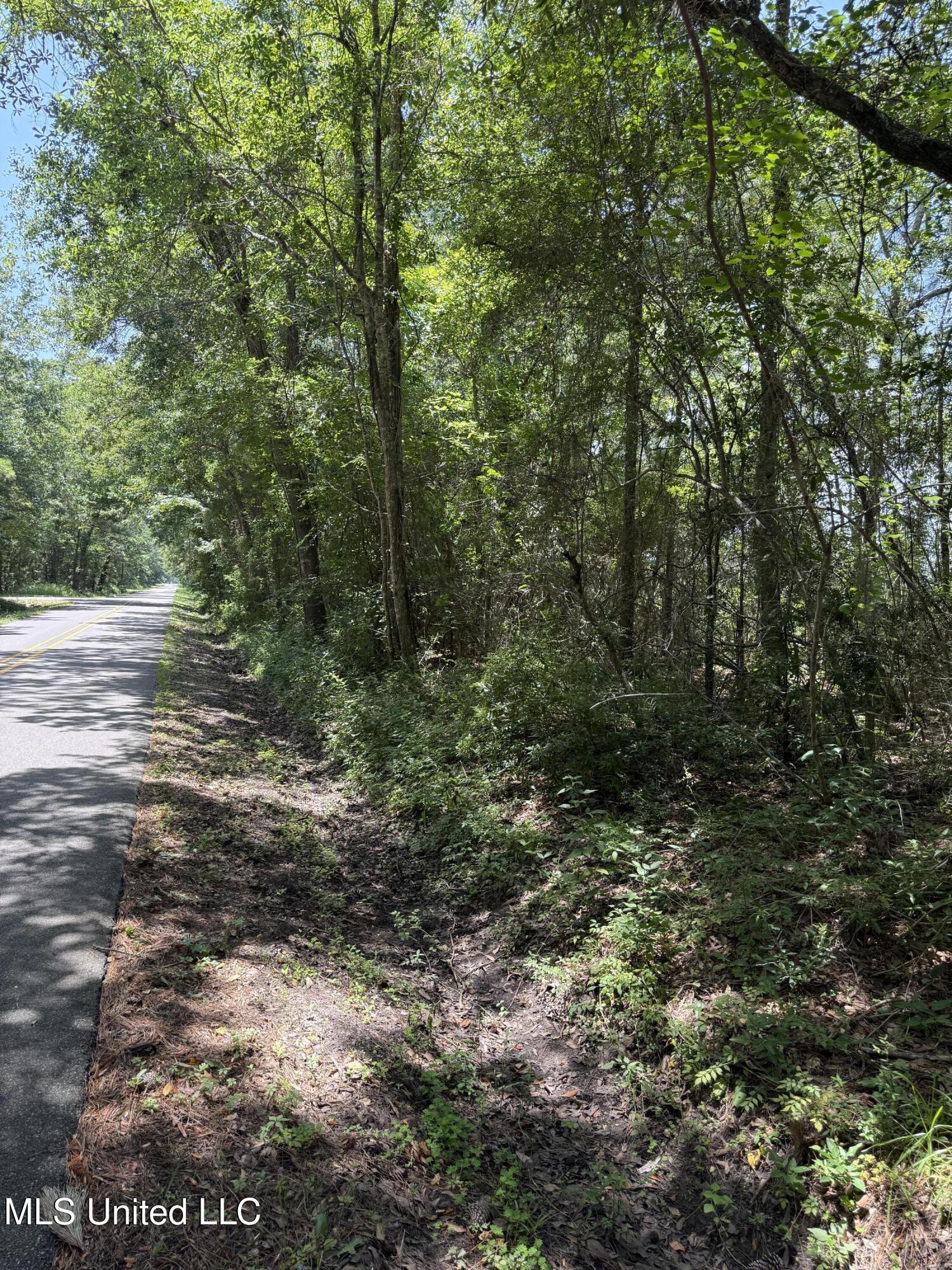 Image 4: North St