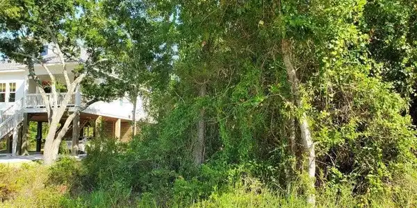 E. Belle Fontaine Road