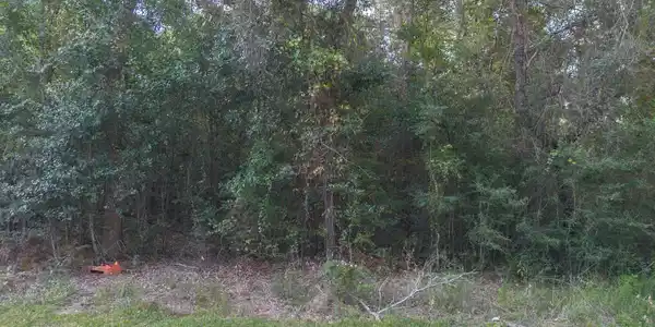Image 2: DJI_0058-Edit