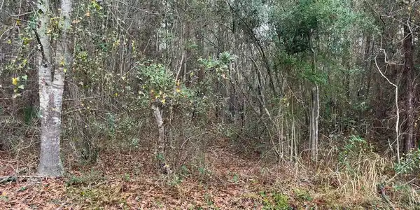 Image 3: 8th st 2