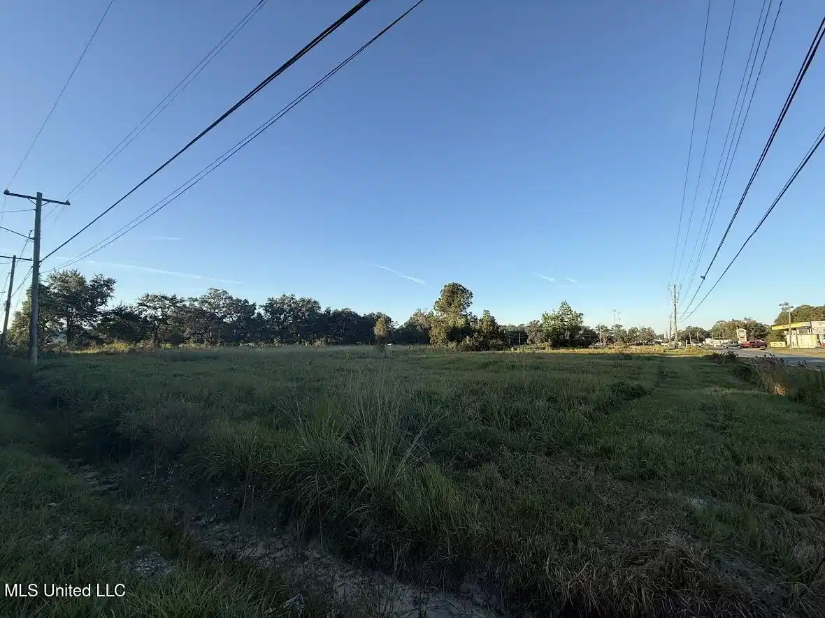 Image 1: Lot