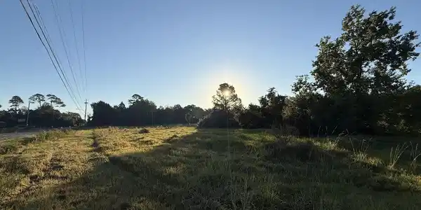 Image 2: Lot