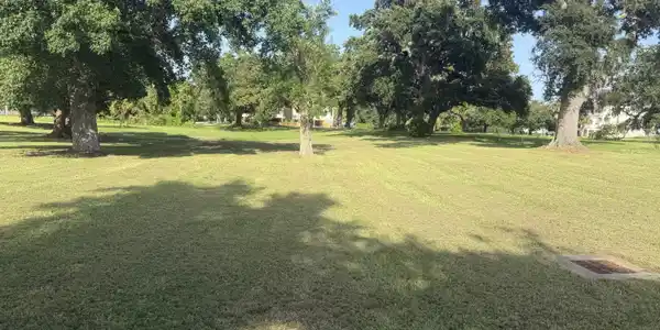 Alfonso Drive