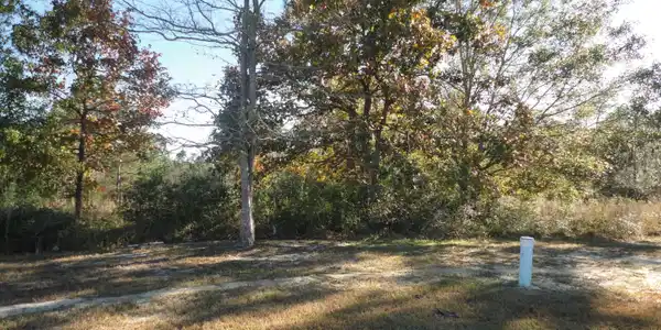 Image 2: DSC03681