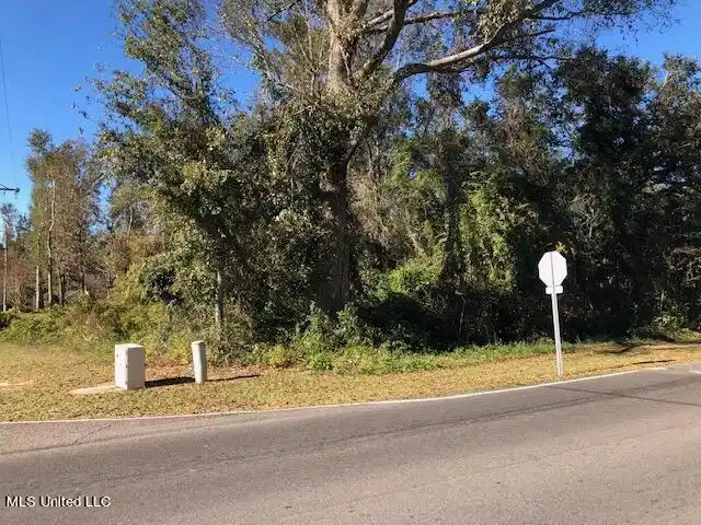 Image 1: Corner Lot
