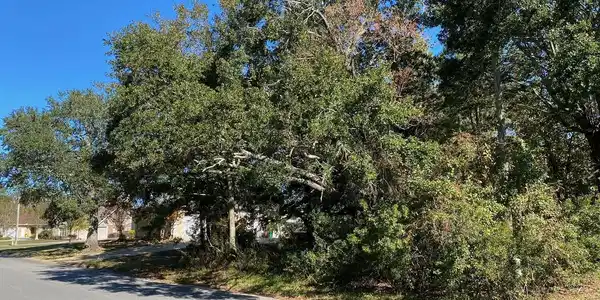 00 Fairway Drive