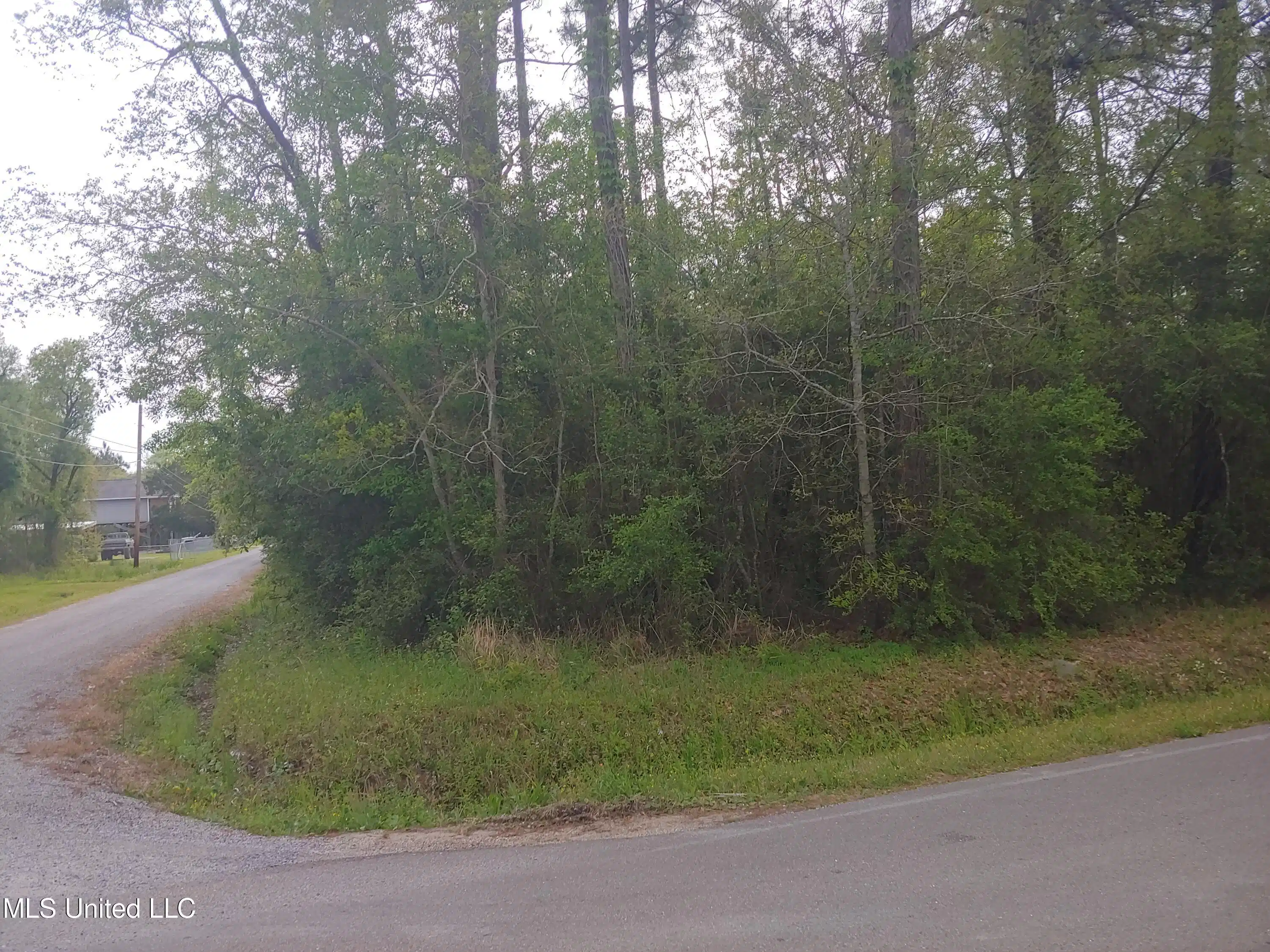 Image 1: 20220406_101552_HDR