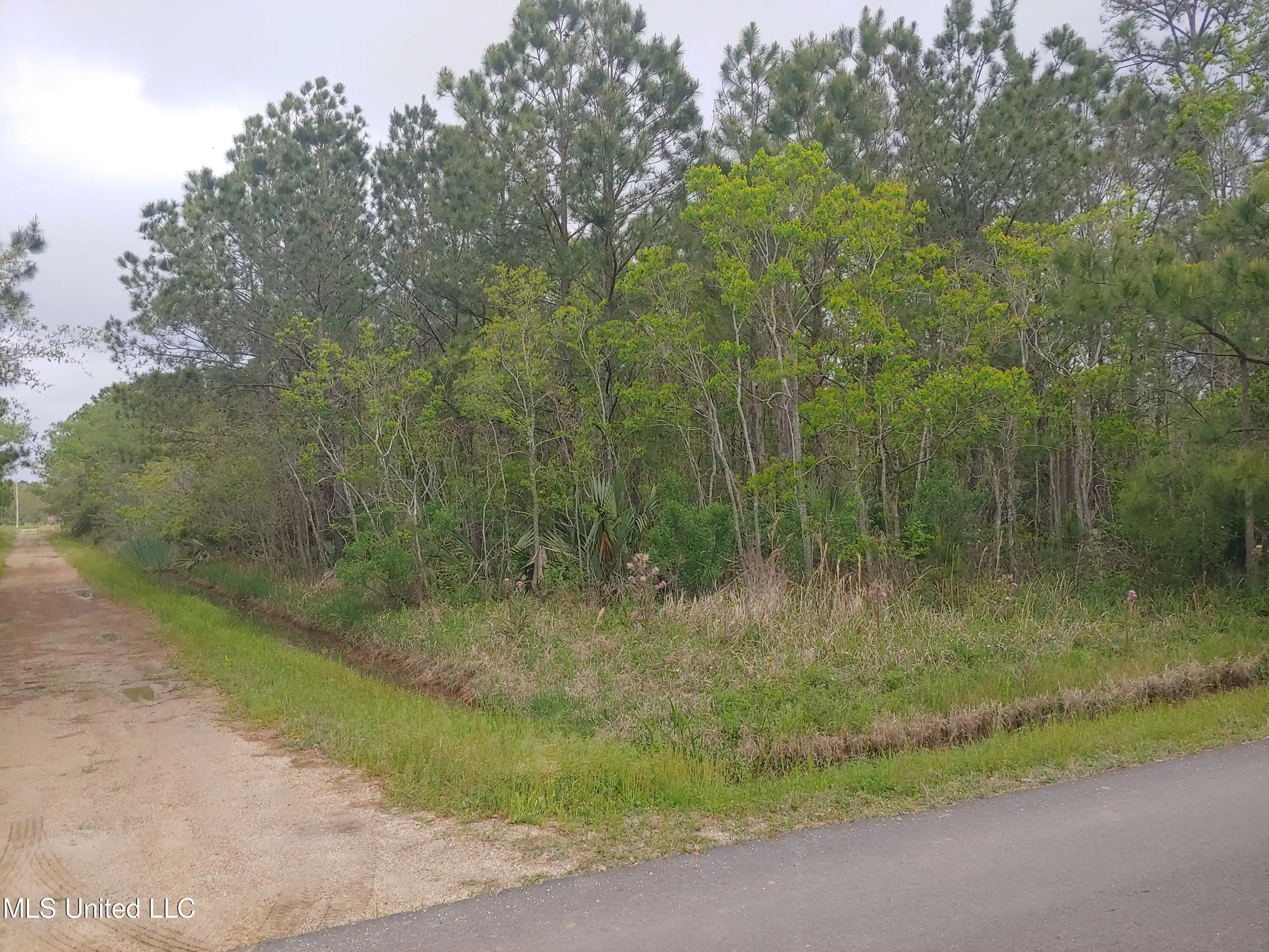 Image 1: 20220406_102449_HDR