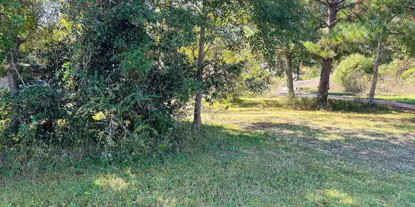 Image 2: IMG_7862