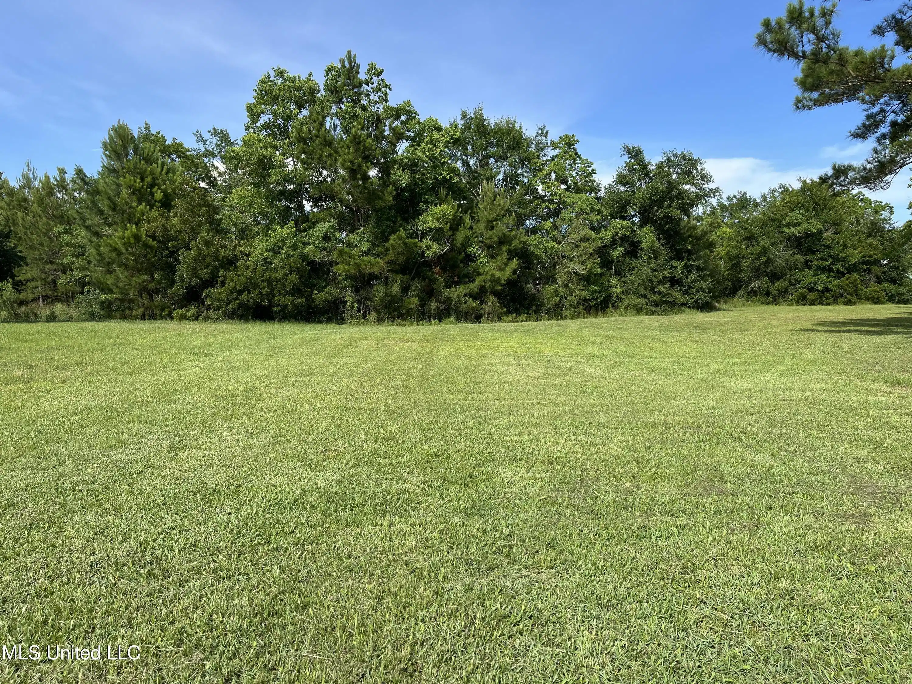 Image 1: Nice lot 19