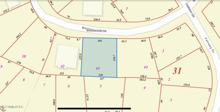 Basswood Drive