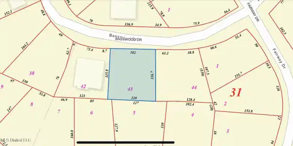 Basswood Drive