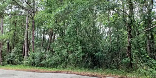 Lot 17&18 Honduras Drive