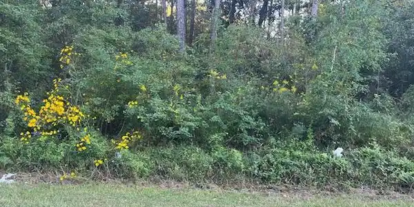 Lot 7 Elm Avenue