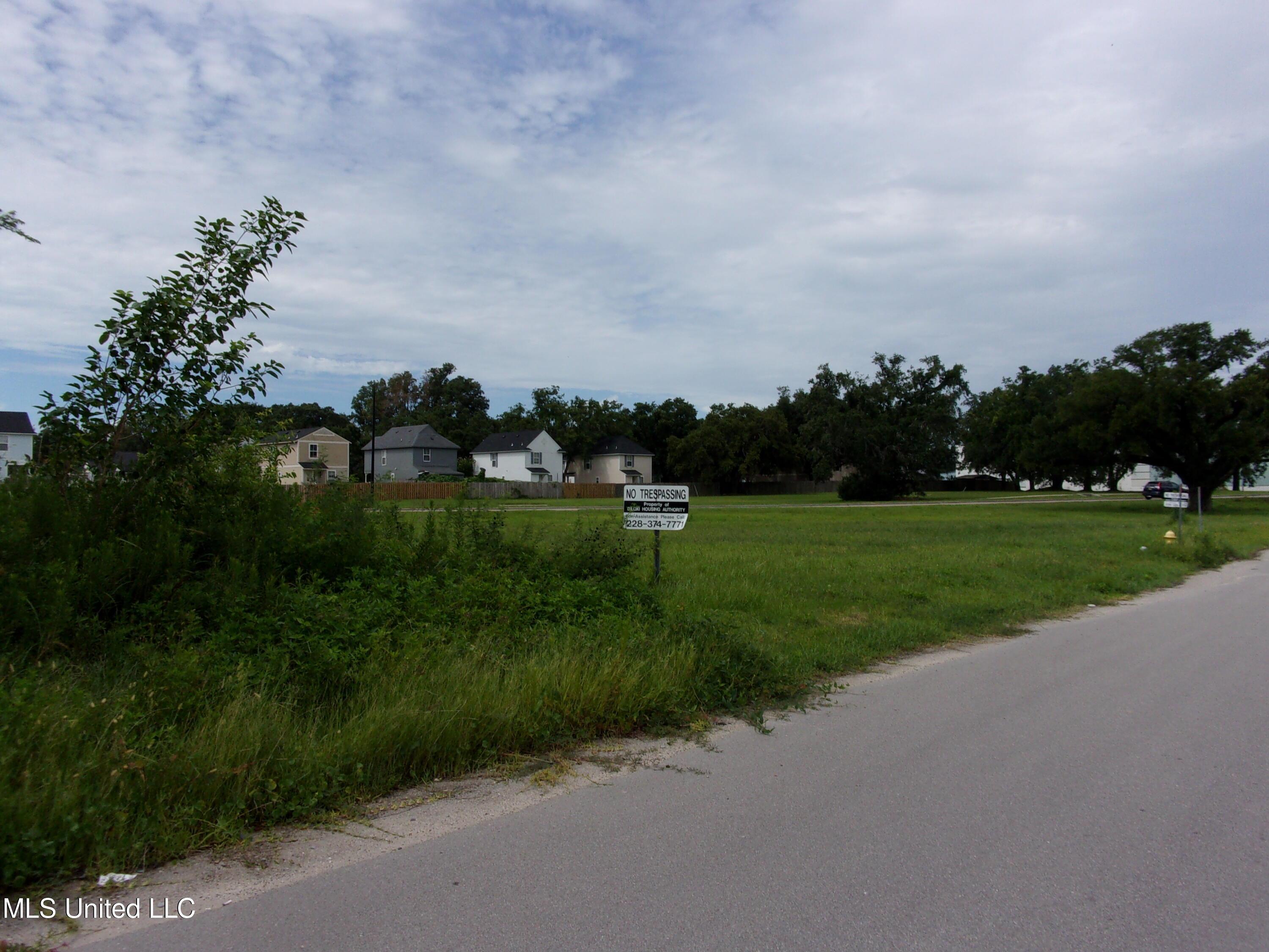 Image 3: 100_0056