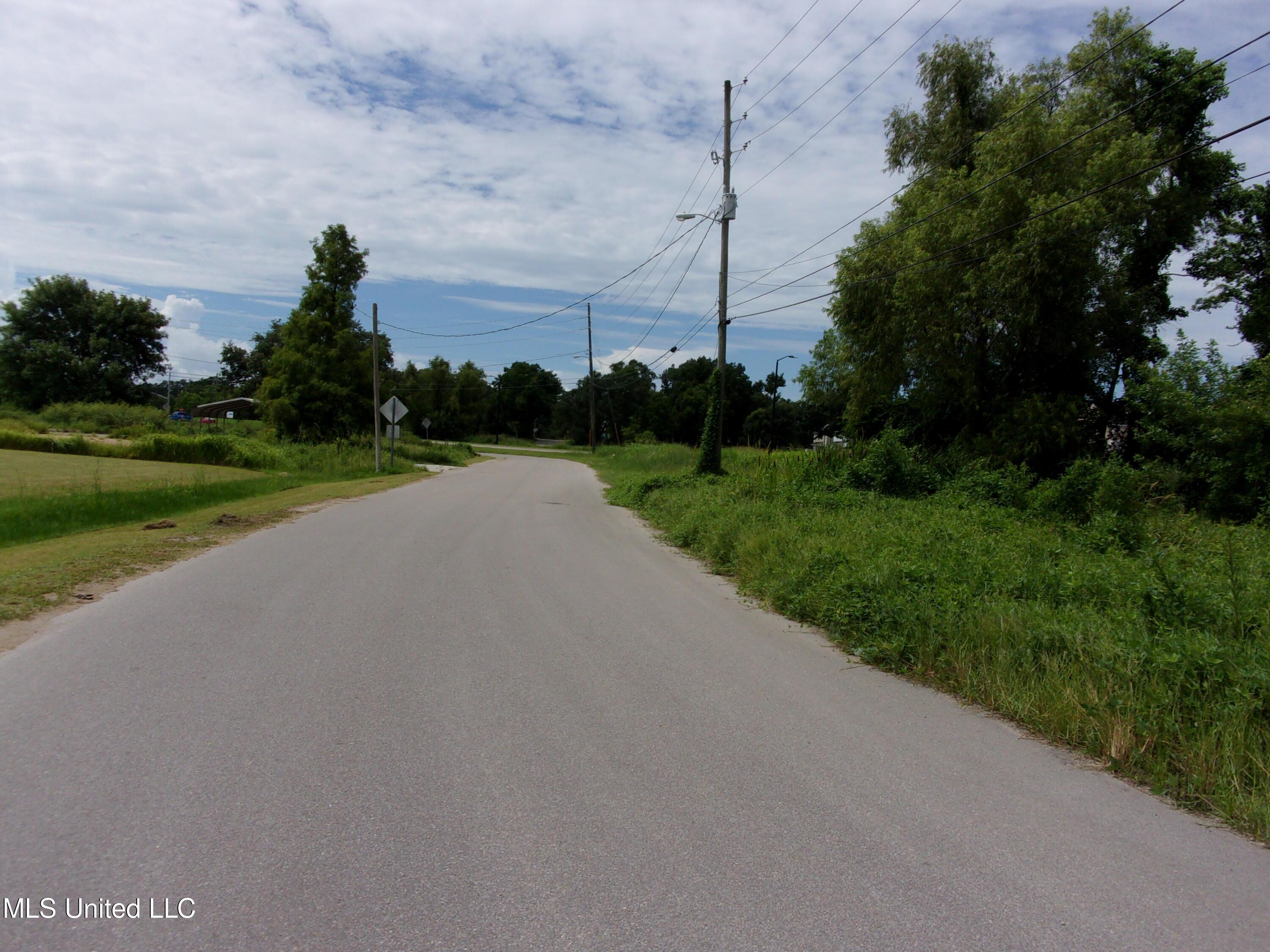 Image 4: 100_0053