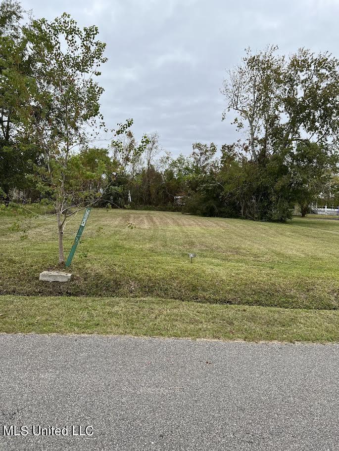 Image 1: Merritt St
