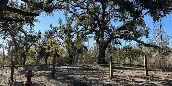 127 Old Pecan Grove Lane