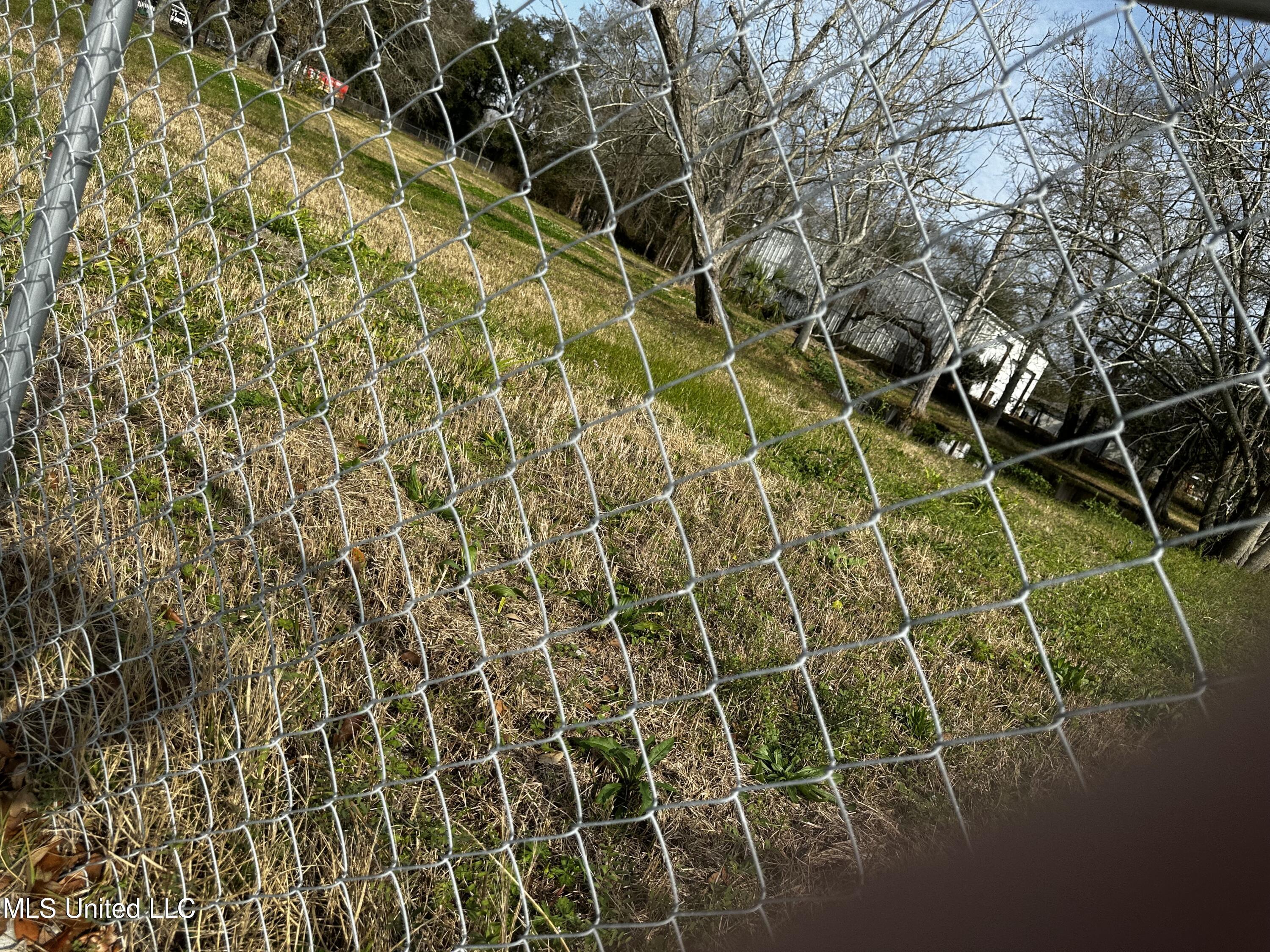 Image 3: Fenced Lot