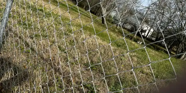 Image 3: Fenced Lot