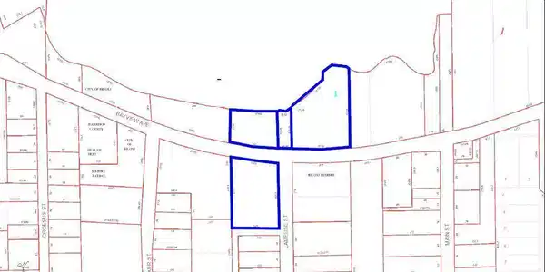 Image 3: parcel map