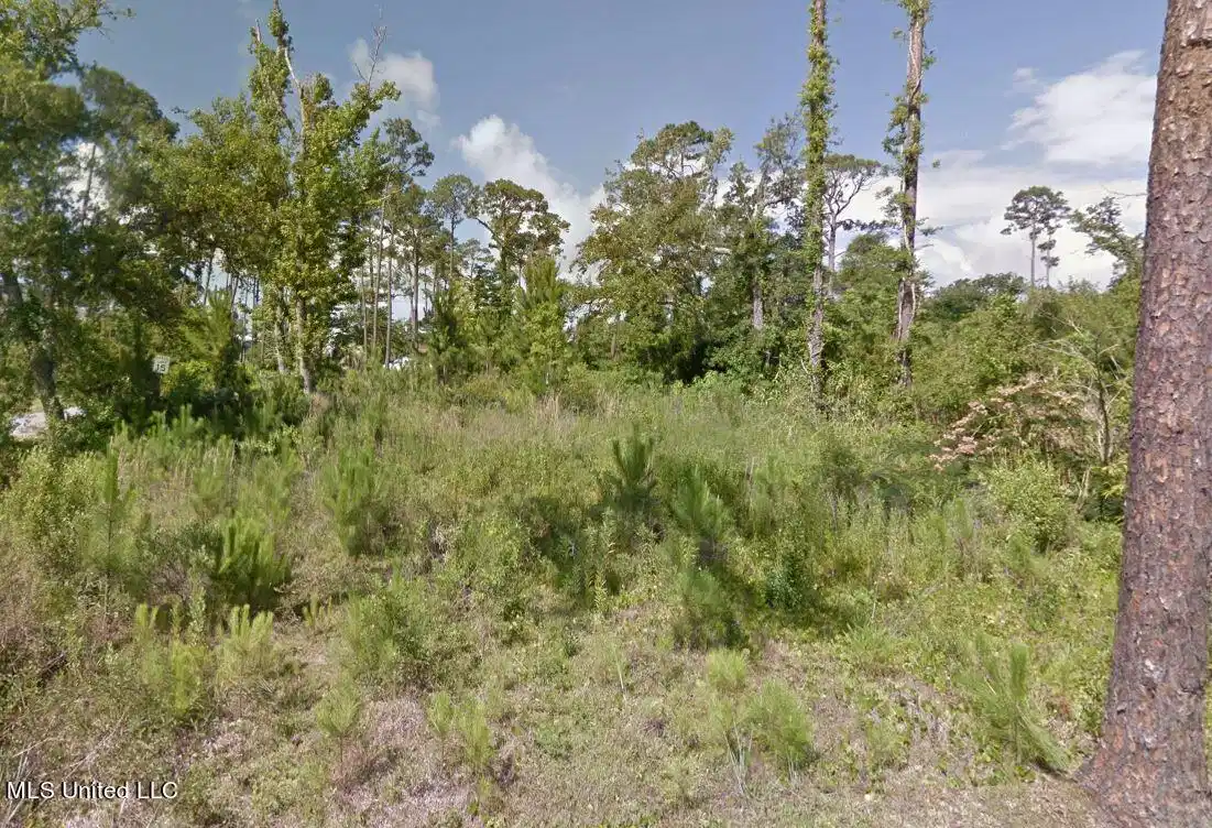 Image 1: Land