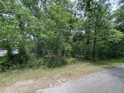 00 Pecan Ridge Drive