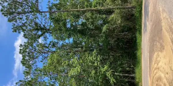 Lot 68 Aupuni Place