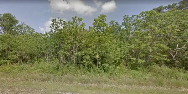 Image 3: street view