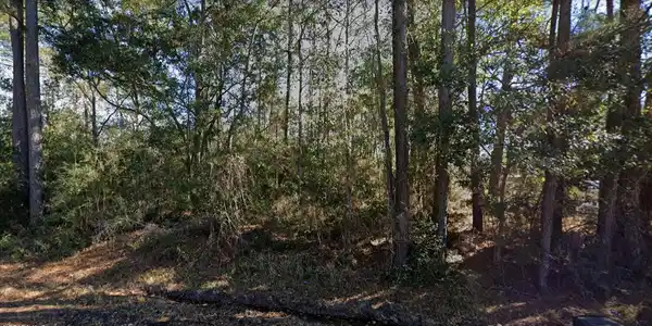 Image 3: Tampa Street view