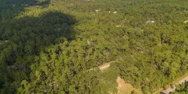 Image 4: Gulf-53