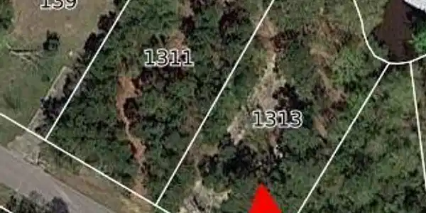 1313 Mapunapuna Drive