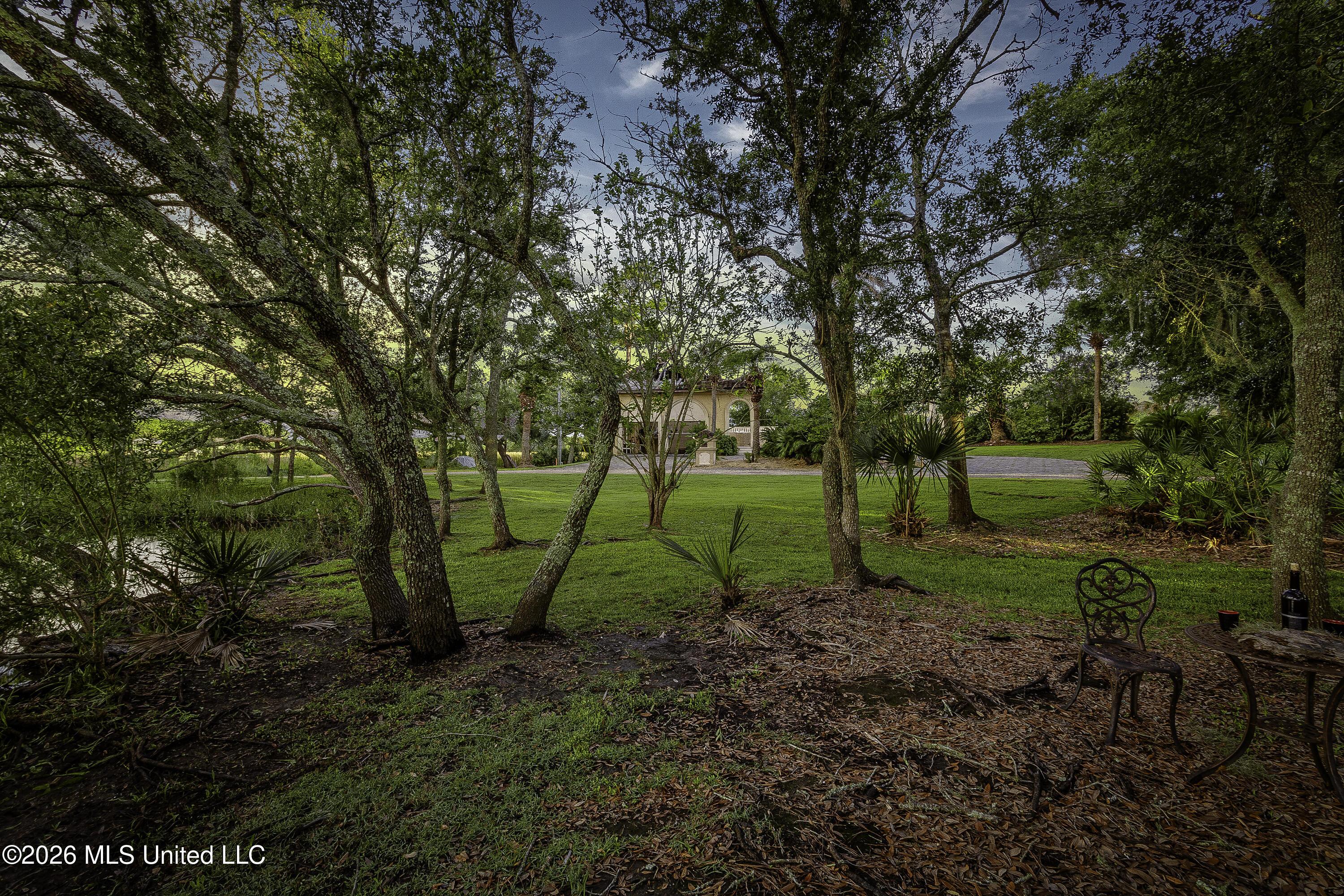 Image 3: 00816