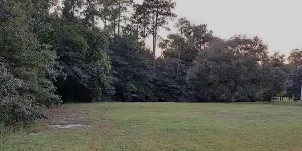 Birch Drive