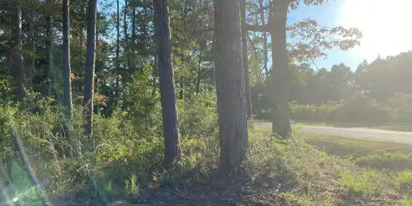 N Daytona Drive