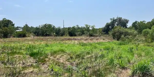 Image 3: Lot