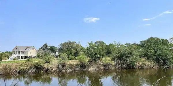 Image 4: Lot
