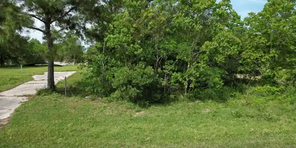 Image 2: Street View of Property
